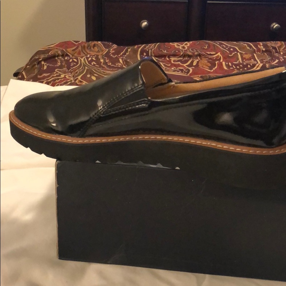 Black naturalizer patent